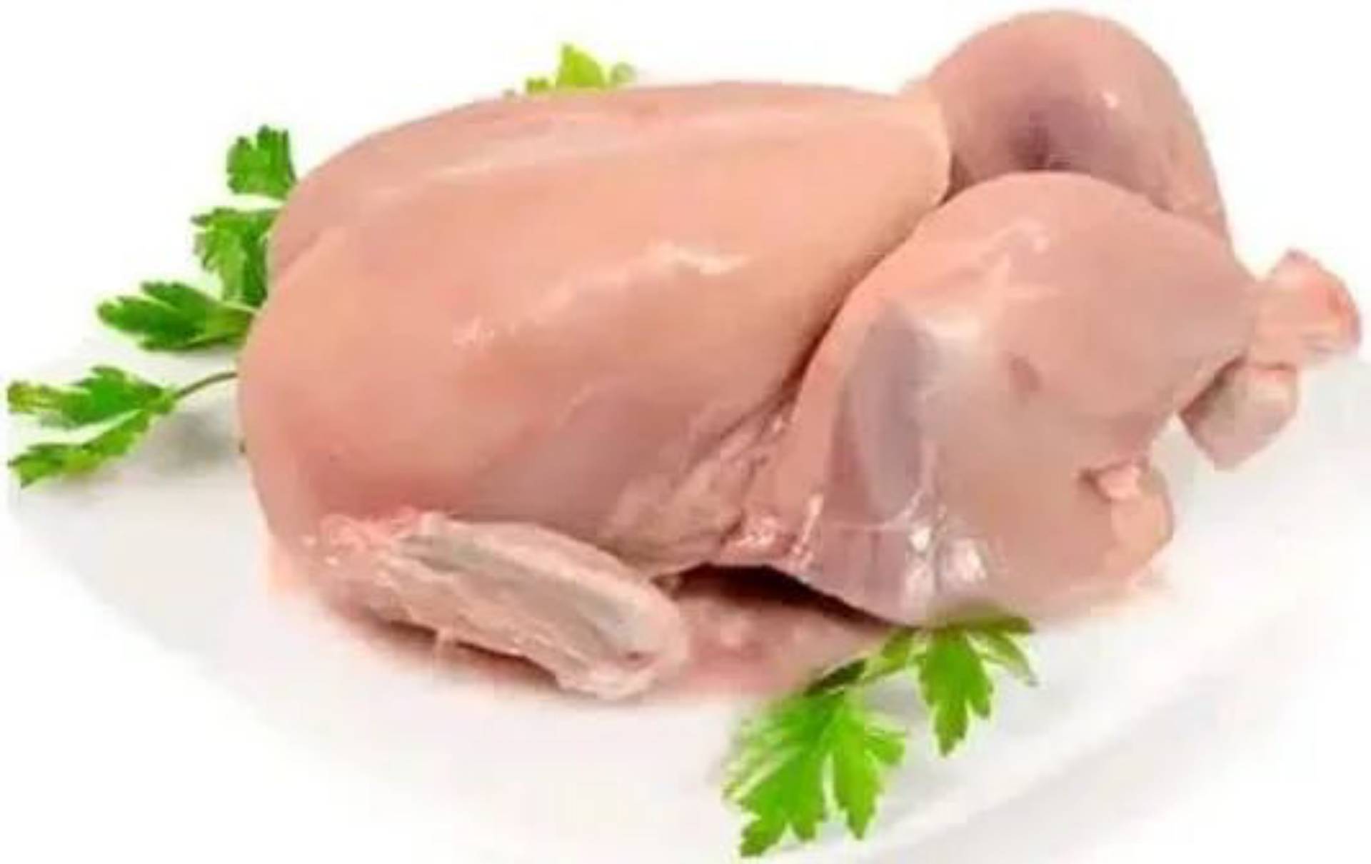 CHICKEN_0