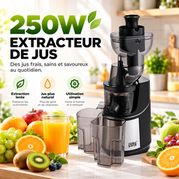 Mixeur extracteur de jus