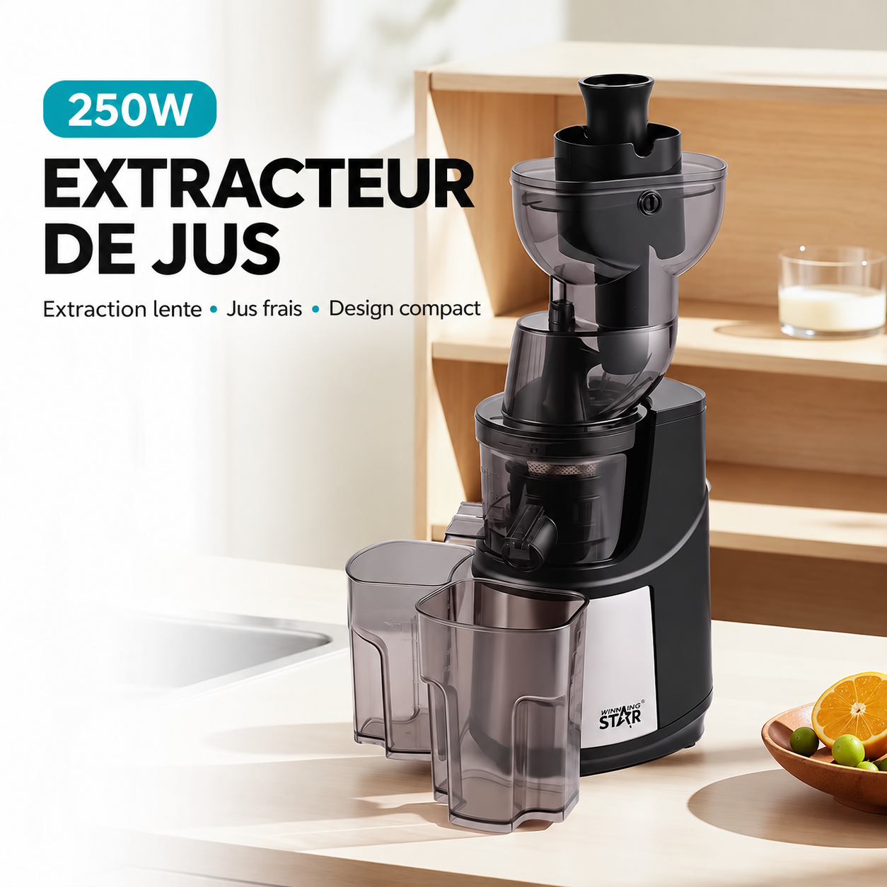 Mixeur extracteur de jus_2