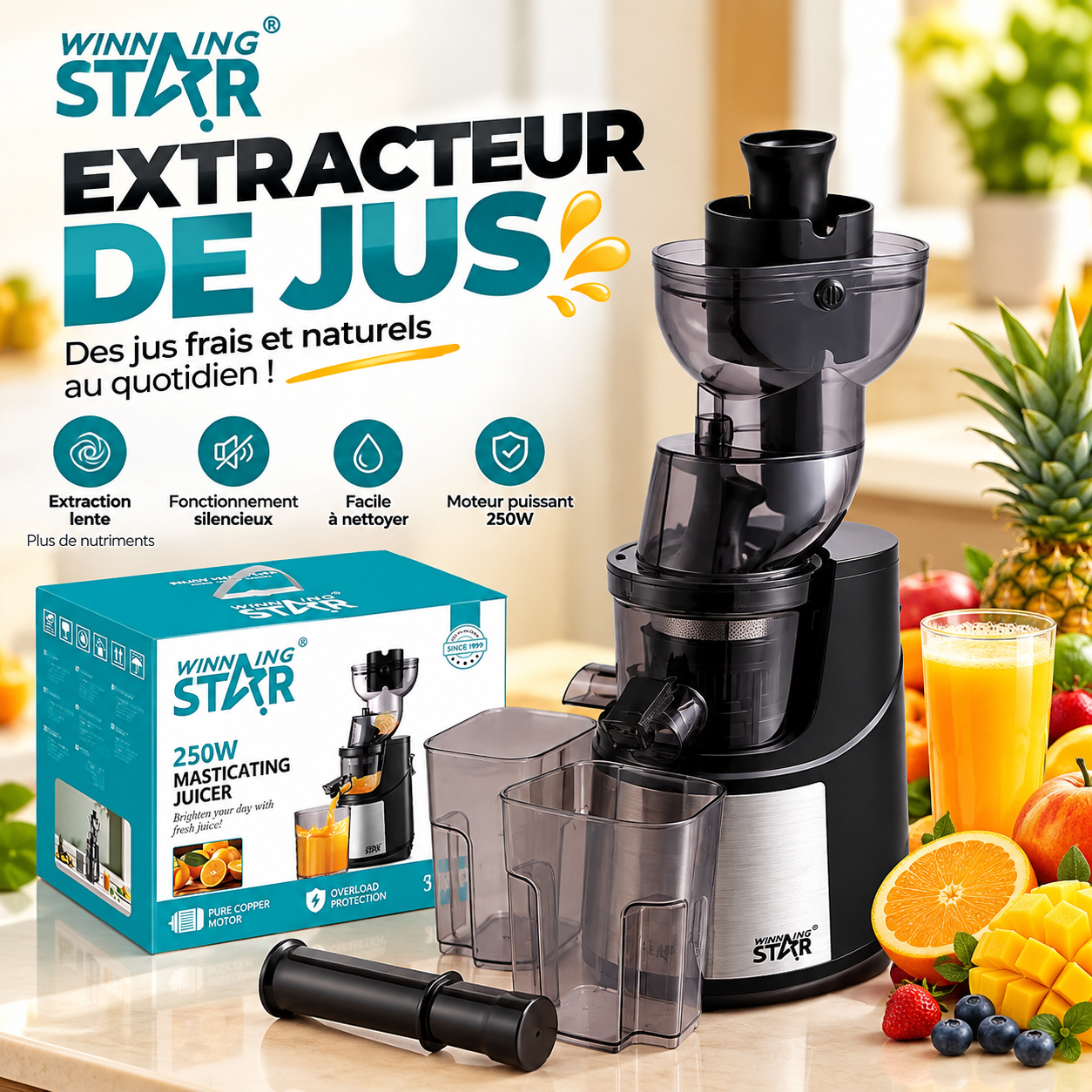 Mixeur extracteur de jus_1
