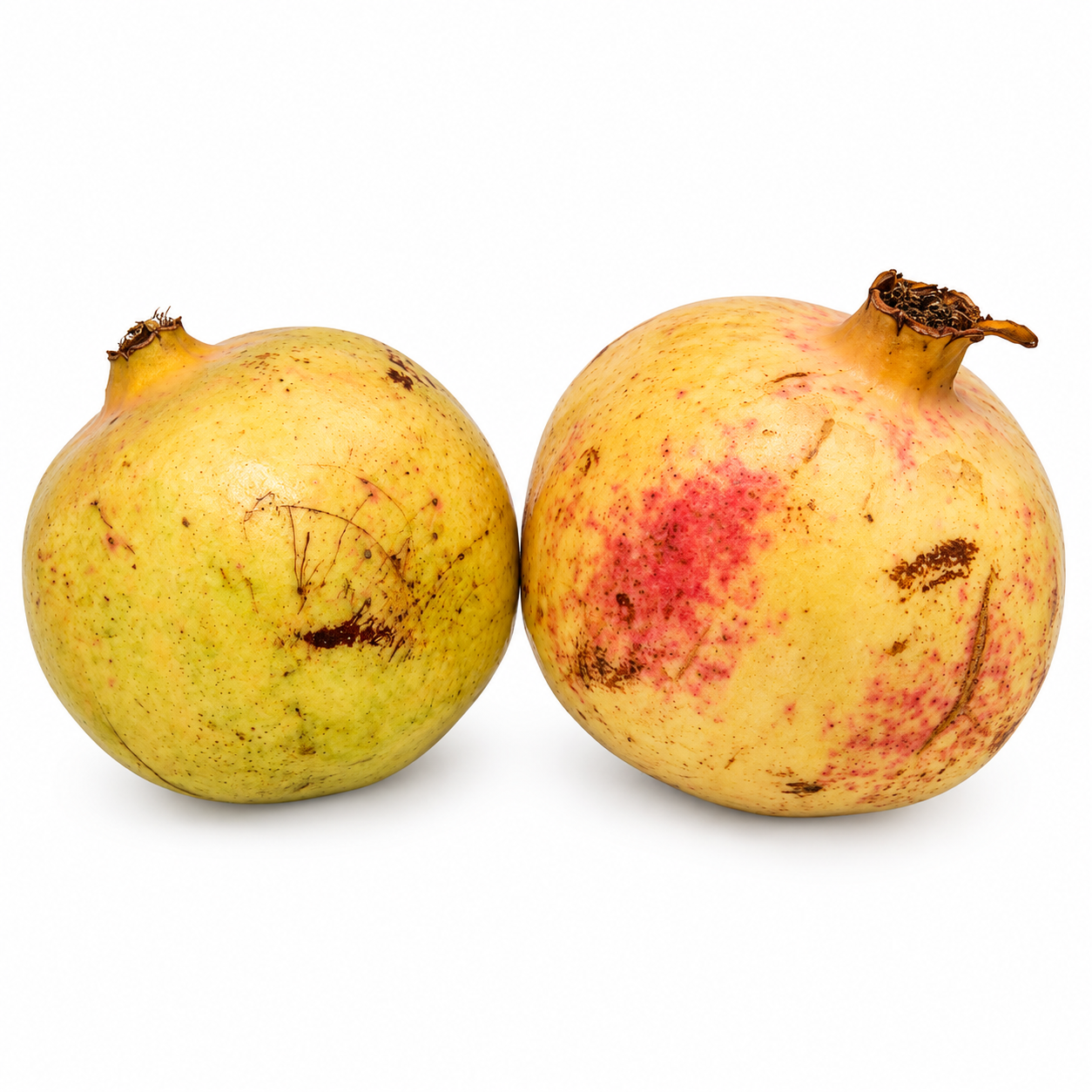 رمان جامبو – اليمن (حبتان) / Jumbo Pomegranate – Yemen (2 pcs)_0