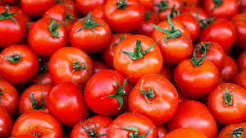 Vegetable