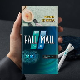 PALL MALL ALASKA PZA/CAJETILLA
