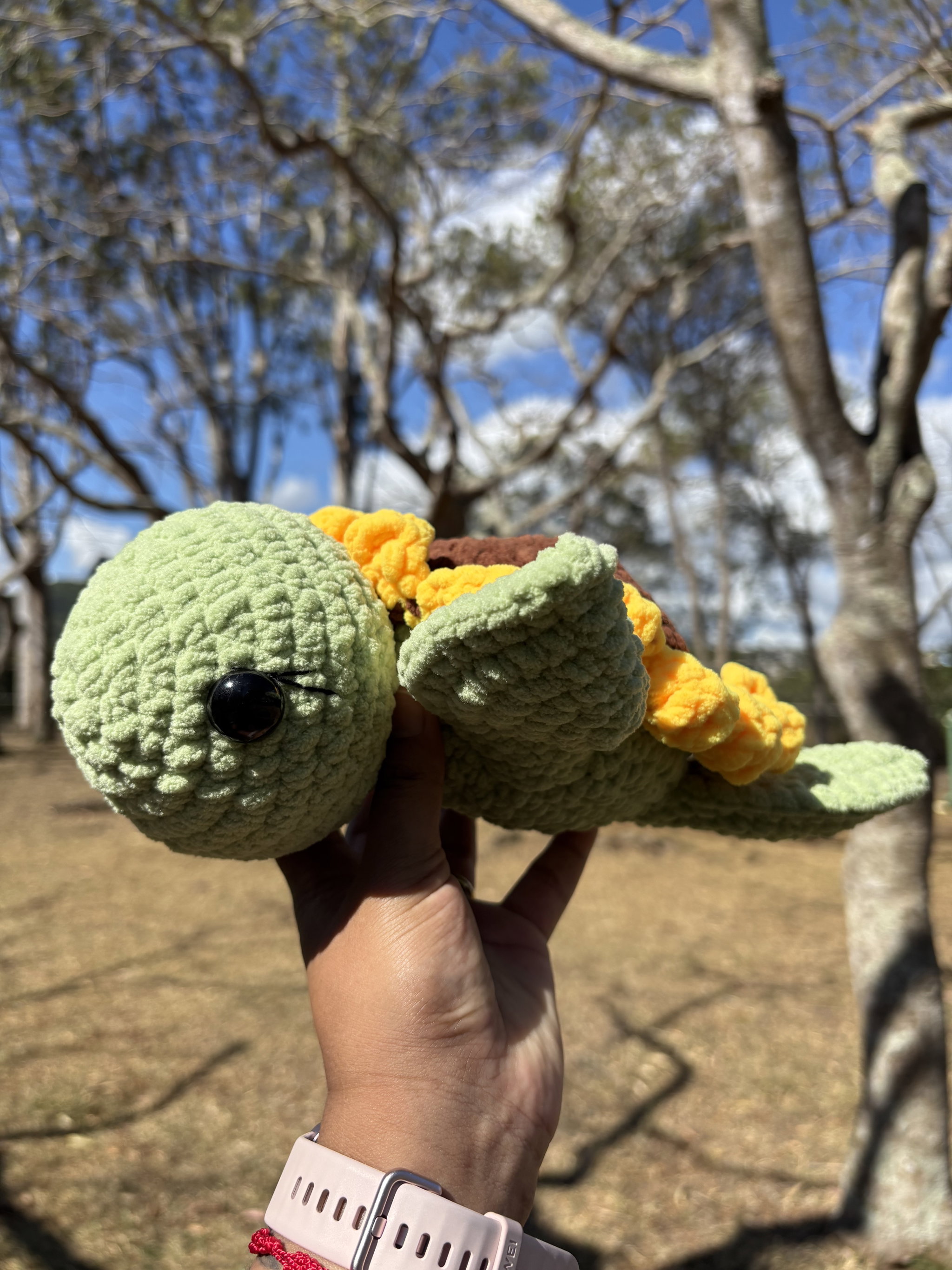 Sunflower turtle_3