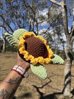 Sunflower turtle