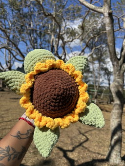 Sunflower turtle