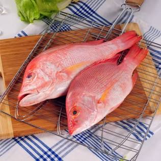RED SNAPPER/KG