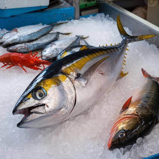 TUNA/KG