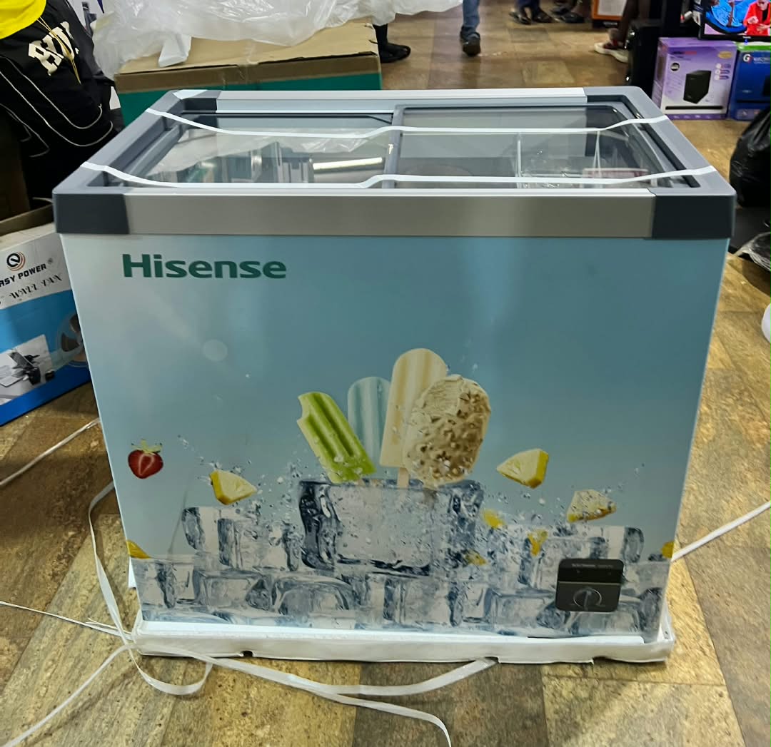 Hisense commercial chest freezer (270L)_1