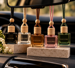 Car Diffusers