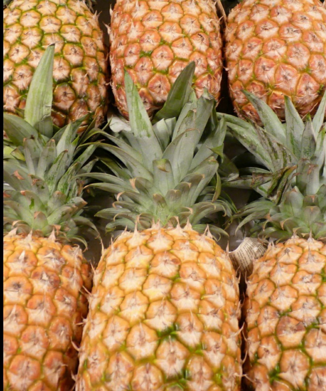 Pineapple (inanasi)