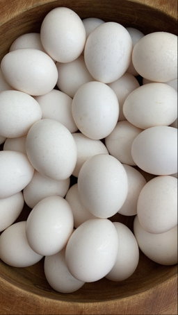 Huevos Blancos (30) | White Eggs (30)