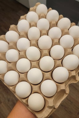 Huevos Blancos (30) | White Eggs (30)