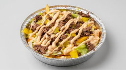 Burger Fries