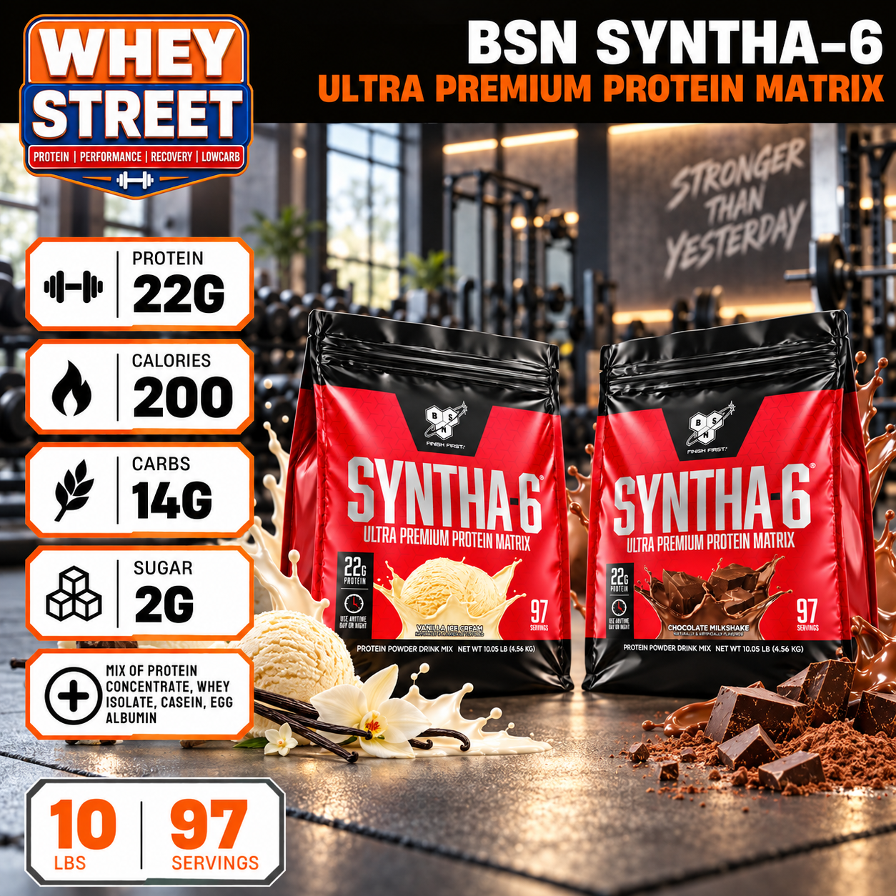BSN Syntha 6 Protein Powder 10 LBS_0