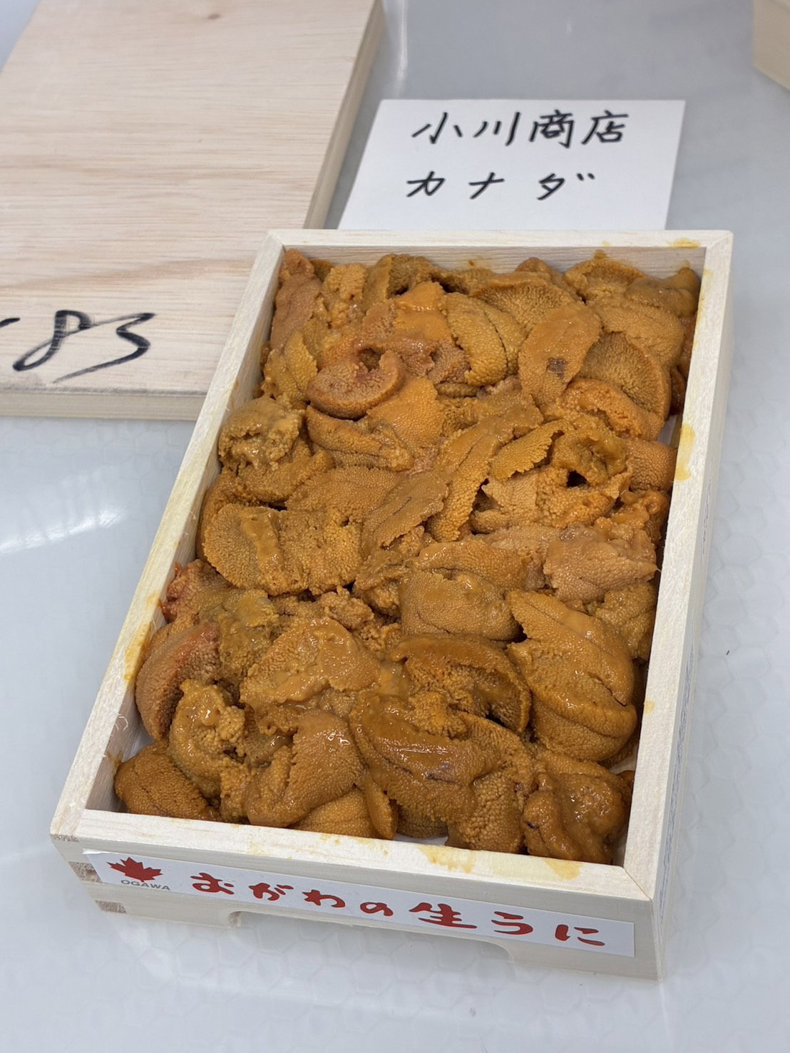 250g 'Ogawa Shoten 小川商店' Bafun Uni_0