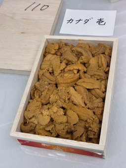 250g 'Ichi 壱カナダ' Bafun Uni