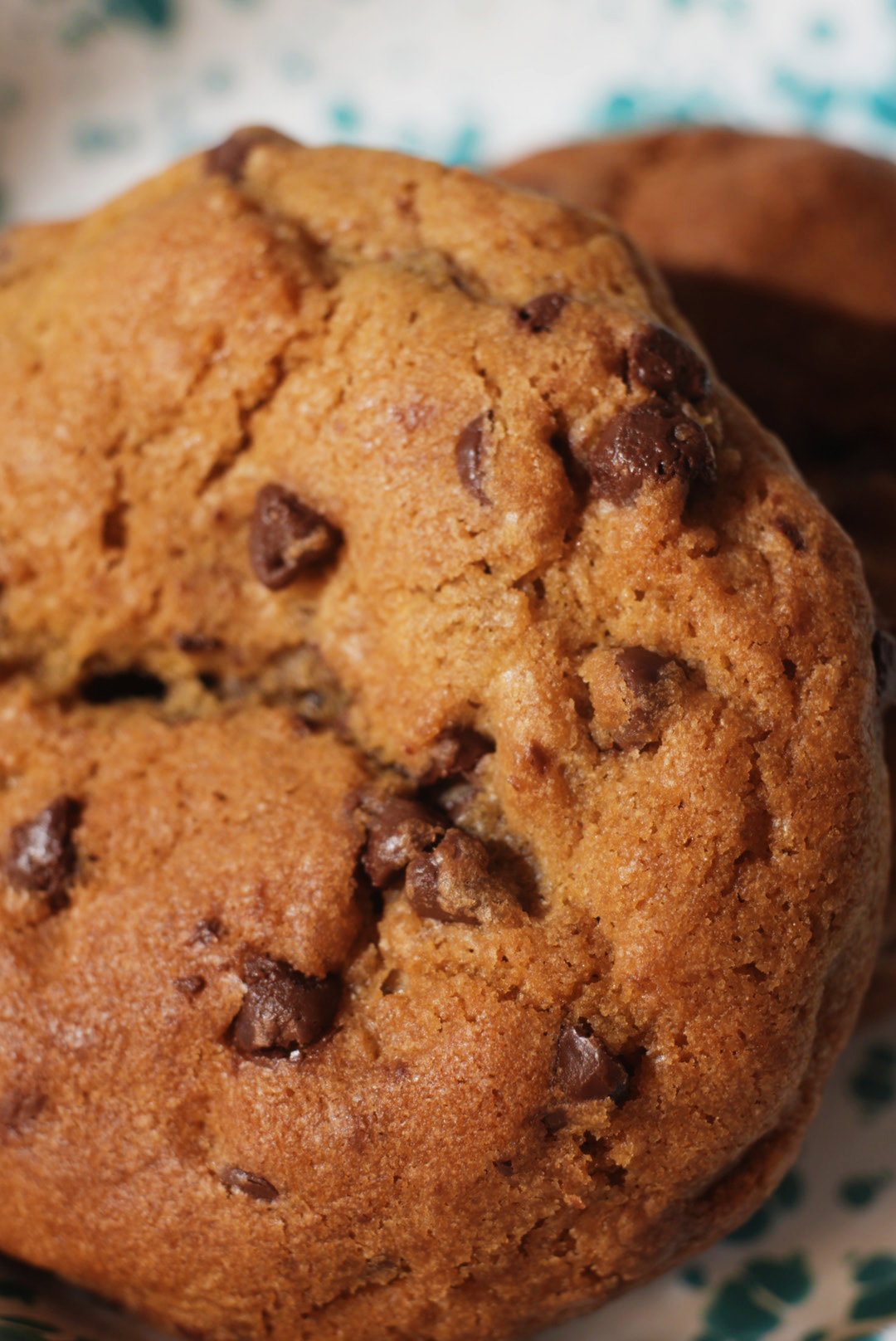 Choc Chip Cookie_3