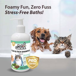 Pet Ganick Natural Flea & Tick Shampoo for Dogs & Cats 225ml – Natural Cleansing & Pest Protection