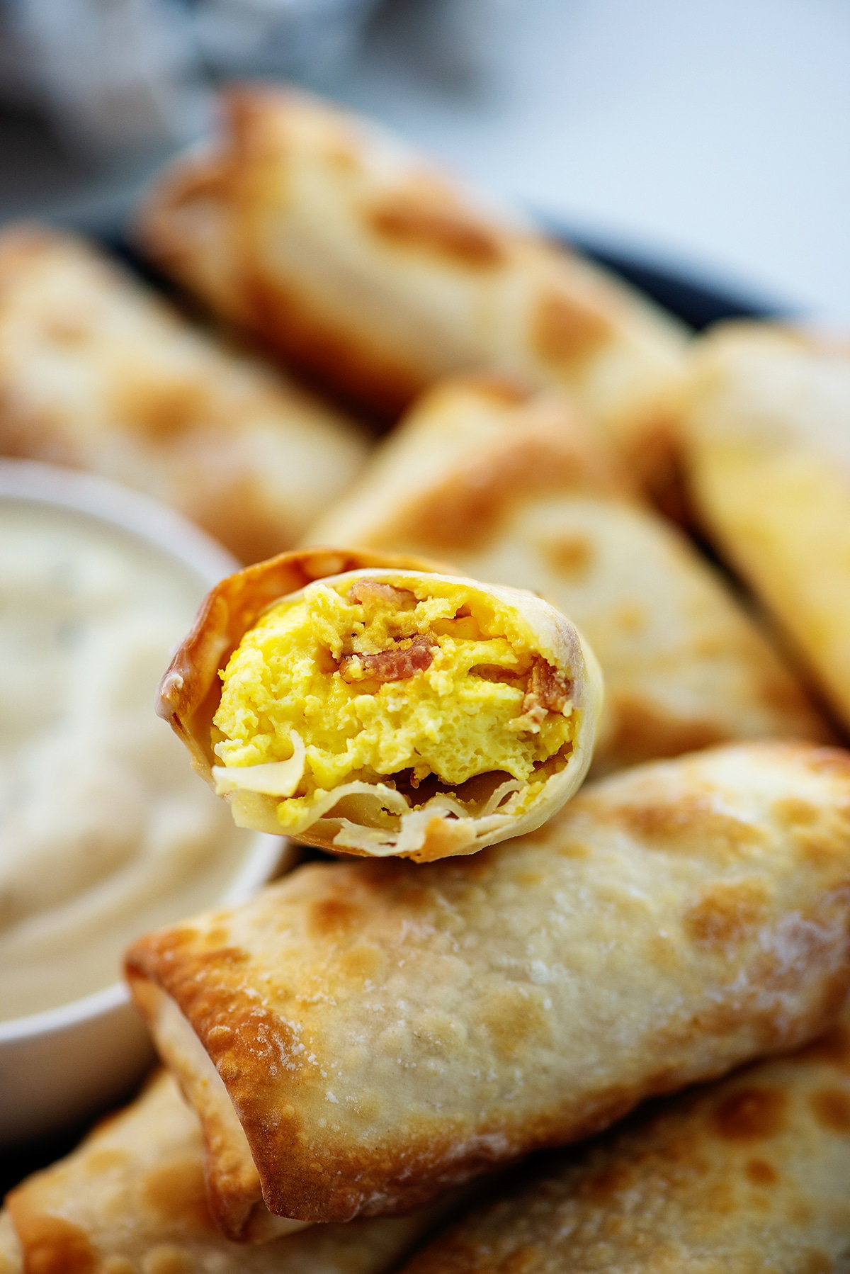 EGG ROOL 2 PICES_0