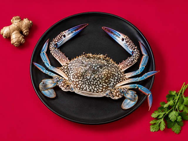 Nandu / Crab_0