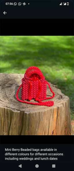 Bellini Small Berry Bag