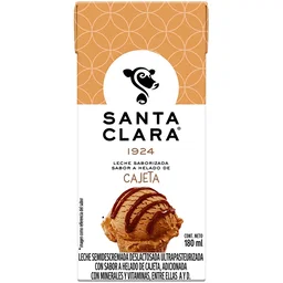 LECHE DE SABOR 