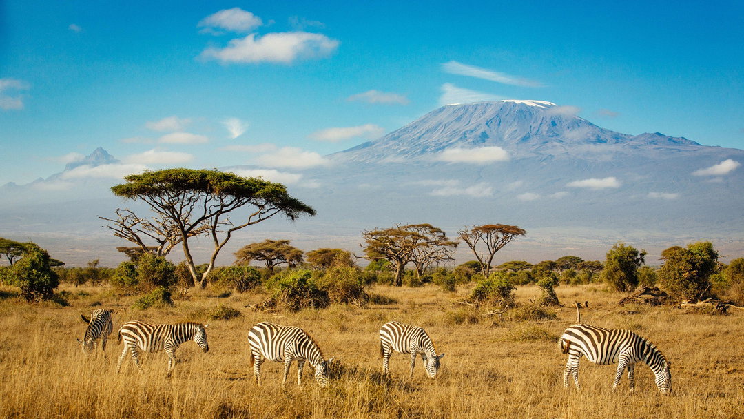 Kilimanjaro + Amboseli Safari