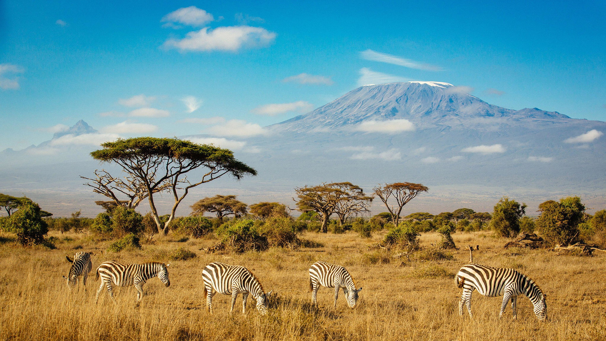 Kilimanjaro + Amboseli Safari_0