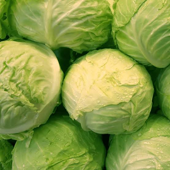 White cabbage