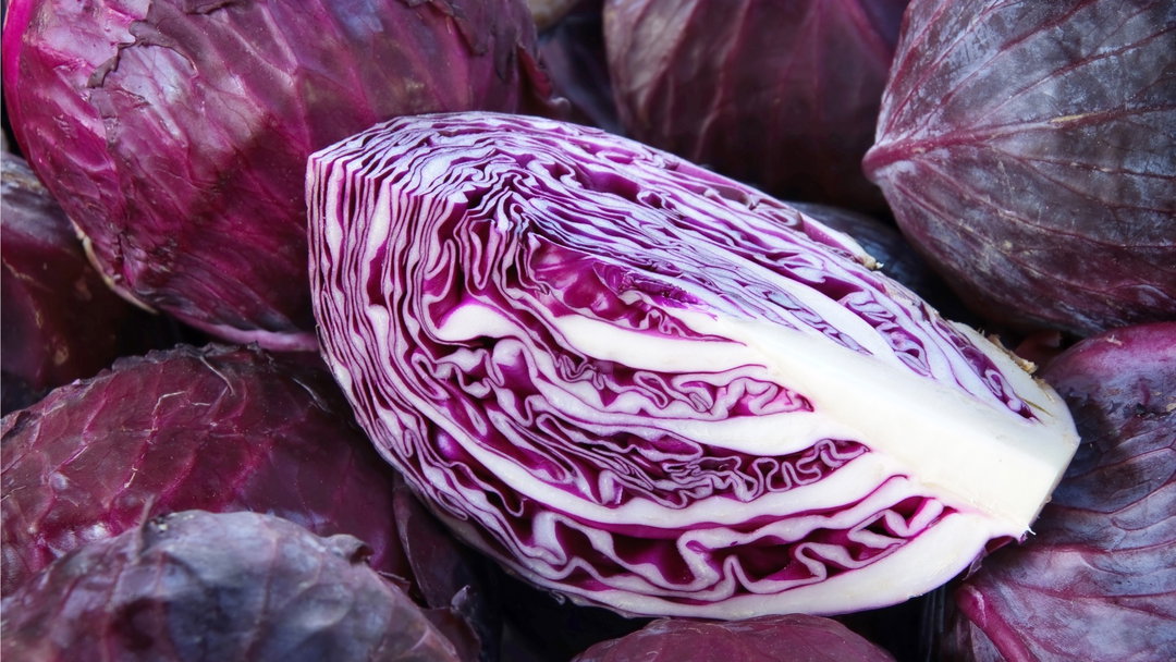 Red cabbage