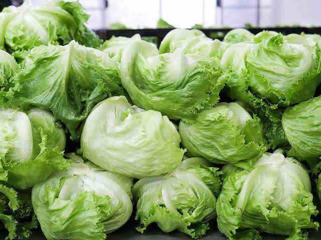 Lettuce_0