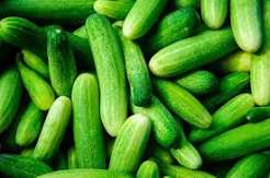 Cucumber