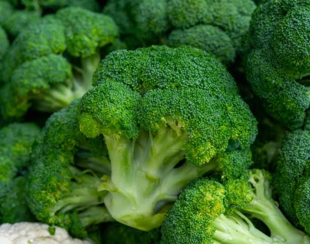 Broccoli_0