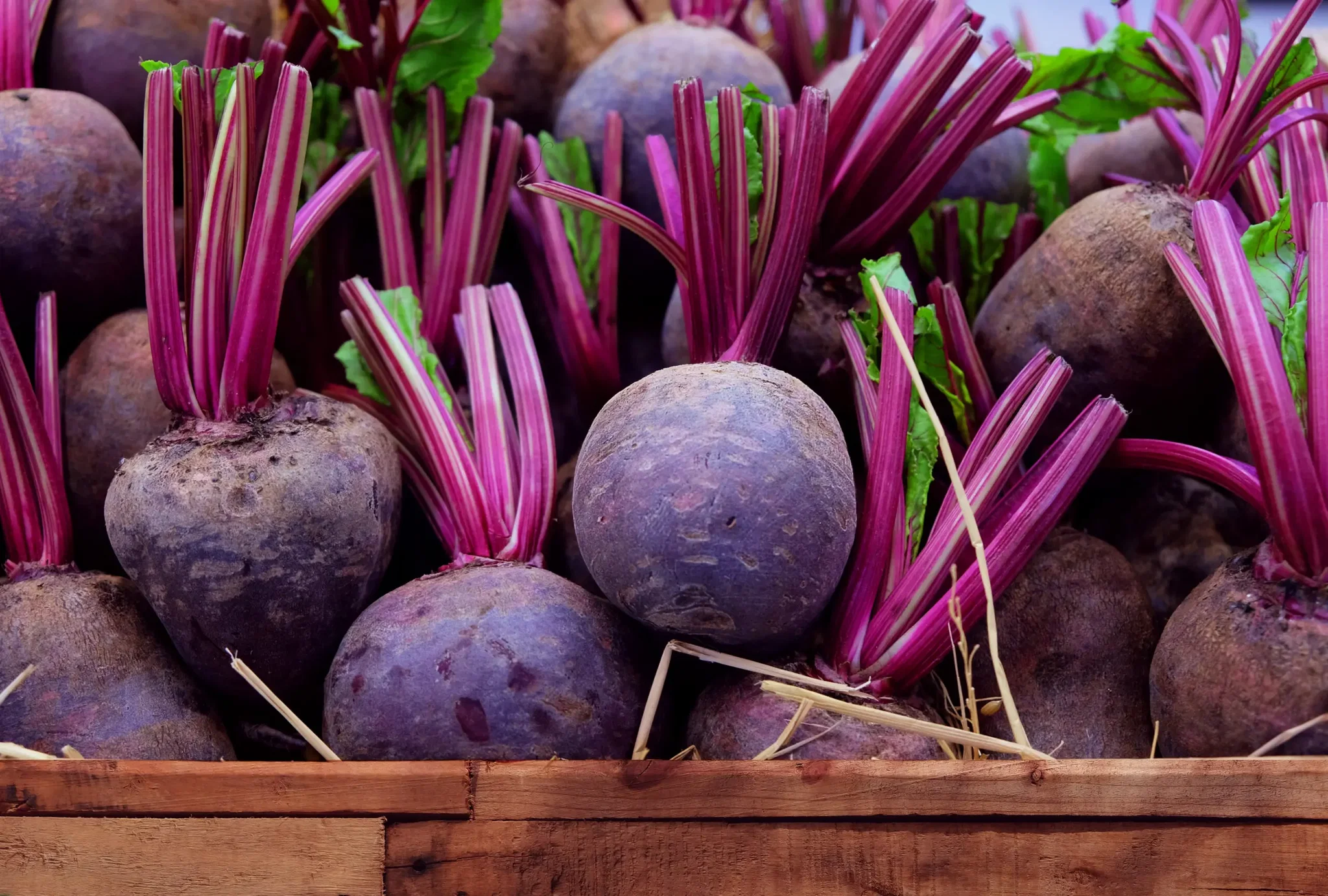 Beetroot_0