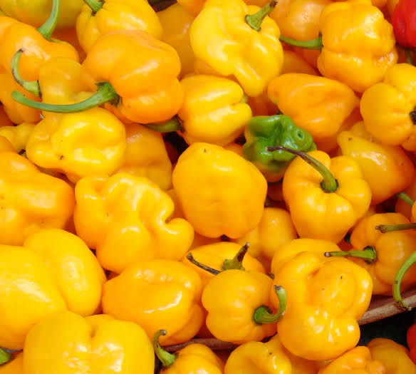 Yellow peppers/hoho ya njano