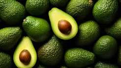 Avocados_0