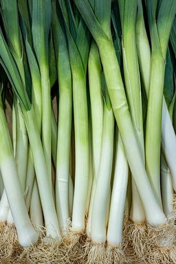 Leeks