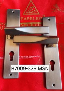 Serrure P24