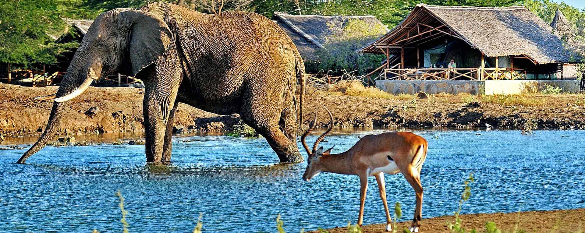 Tsavo East & West Safari_0