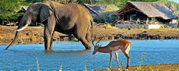 Tsavo East & West Safari