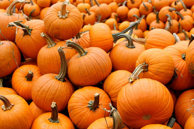 Pumpkins_0