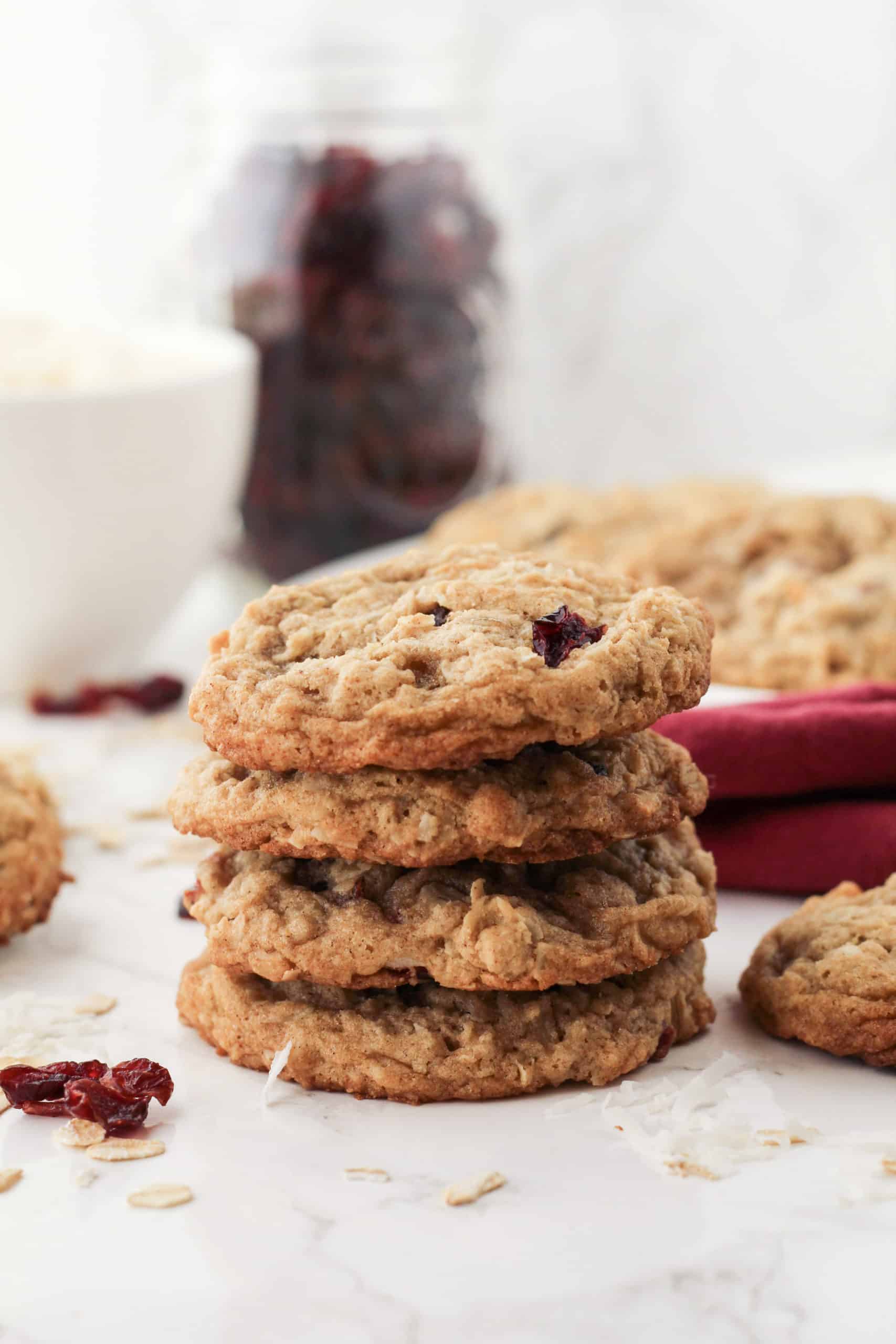Cran- raisin coconut Cookie_0
