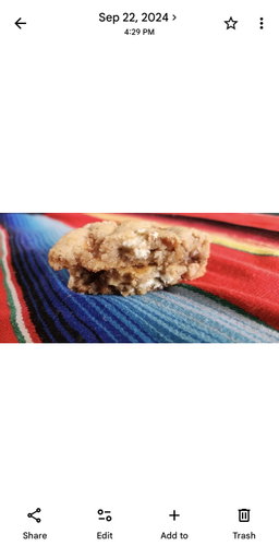 White Chocolate & Pecan Cookie