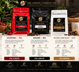 Our Coffee Collection