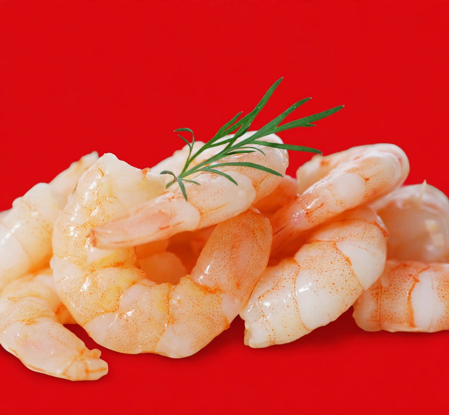 PRAWNS DEVEINED PEELED COOKED 450 <<< Econo foods >>>