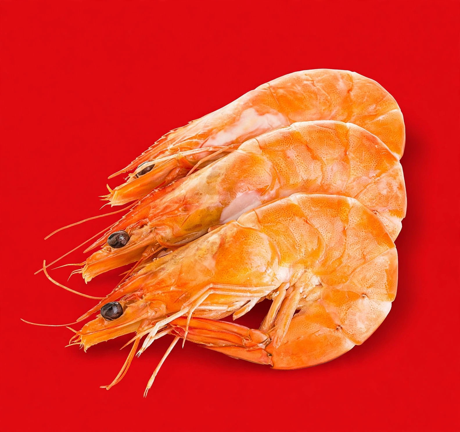 VANNAMEI QUEEN PRAWNS (26-30) 800G <<< Econo Foods >>>
