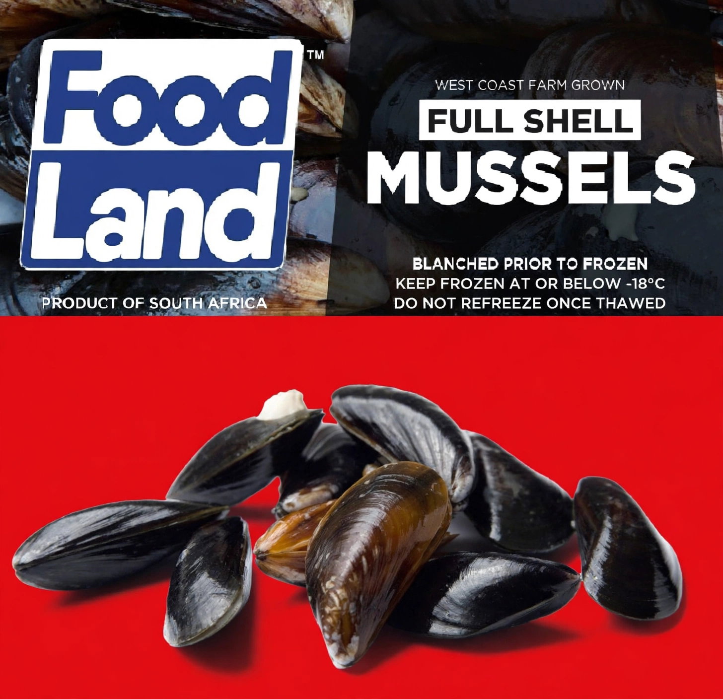 FULL SHELL MUSSELS 800G <<< Econo Foods >>>