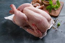 POLLO FRESCO