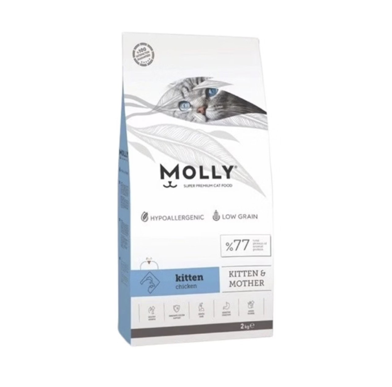 Molly Kitten Cat Food Chicken Formula | Healthy Growth & Development